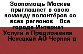 Зоопомощь.Москва приглашает в свою команду волонтёров со всех регионов - Все города Интернет » Услуги и Предложения   . Ненецкий АО,Черная д.